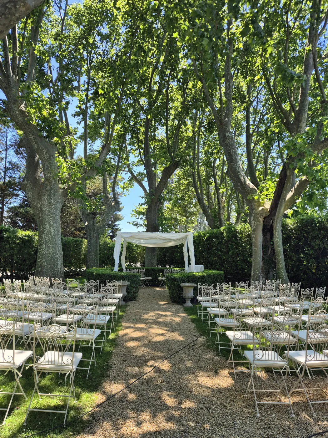 Cérémonie de mariage sous les platanes