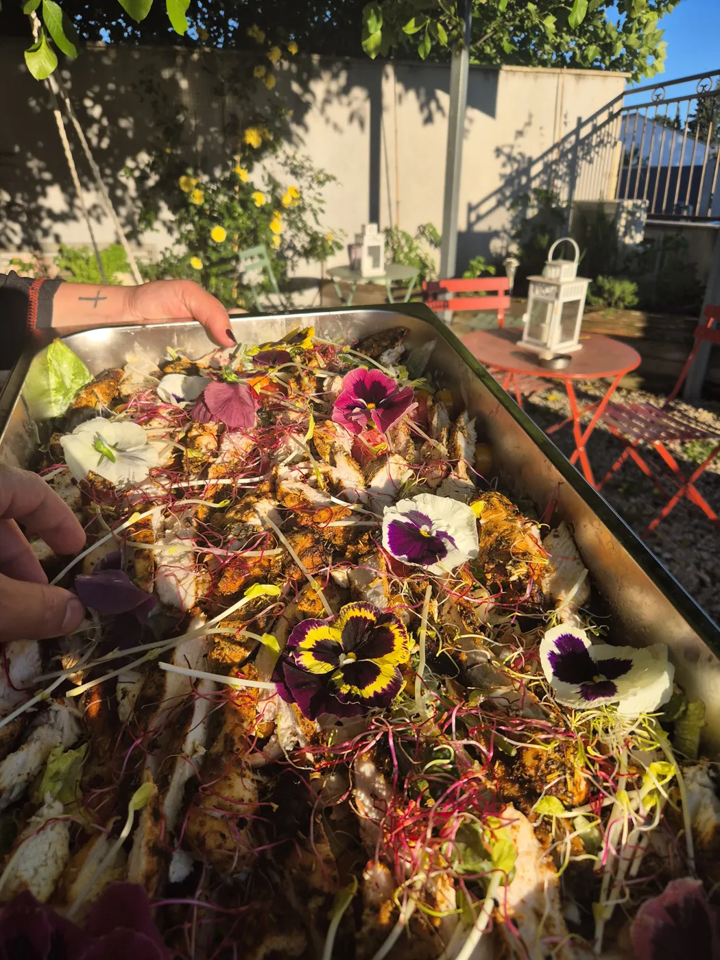 Poulet mariné grillé, pensées et pousses fraîches